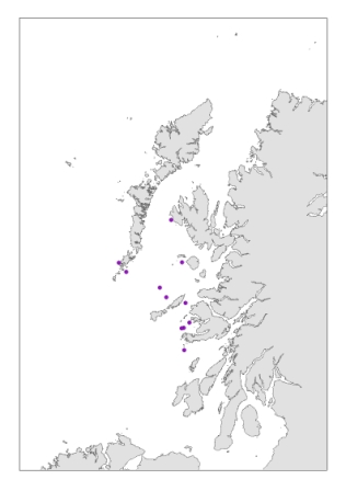 Visual sightings of killer whales from Silurian, 2003-2010